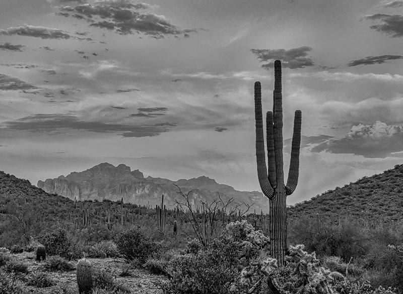 ROC Title Agency Scottsdale