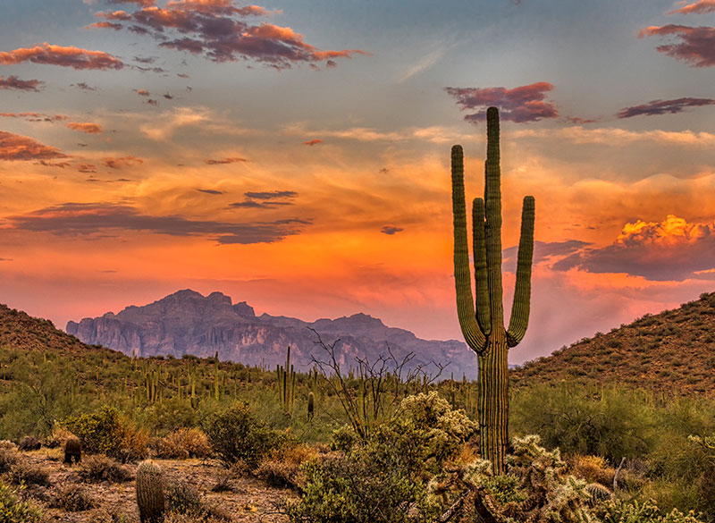ROC Title Agency Scottsdale