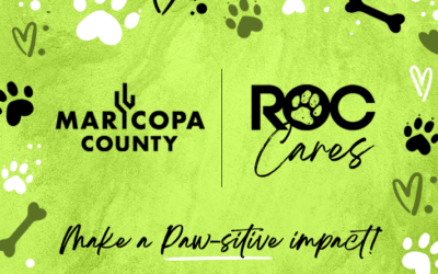 Celebrating 8 Years of Compassion with Maricopa County Animal Shelter: Join ROC Title Agency this October