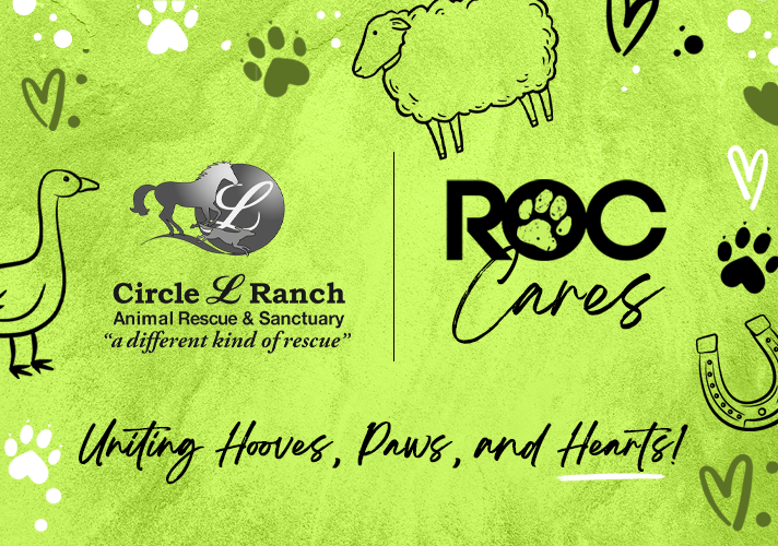 Embrace the Spirit of Giving: Celebrating 8 Years of ROC Title Agency with Circle L. Ranch
