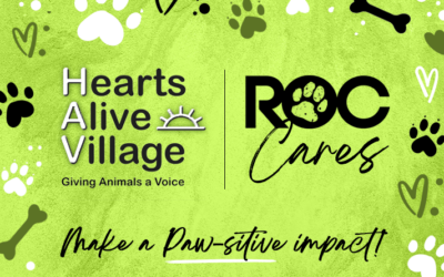 Celebrating 8 Years of Compassion with Hearts Alive Village: Join ROC Title this October