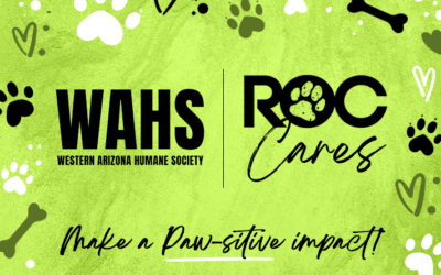 Embracing Compassion: Celebrating 8 Years of ROC Title Agency with Western Arizona Humane Society