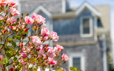 Spring Into Homeownership: Why May is a Great Time to Buy